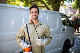 Emergency Pest Control in Cave City, AR